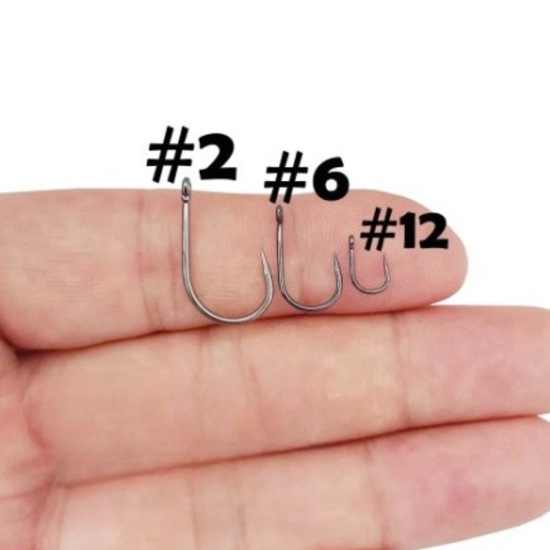 خطافات صيد سمك الشبوط، دائرية  - مراجعة Fishing Hook Assortment وسعره
